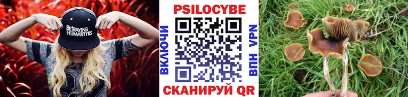 Галлюциногенные грибы ЛСД  купить наркоту  Северодвинск 