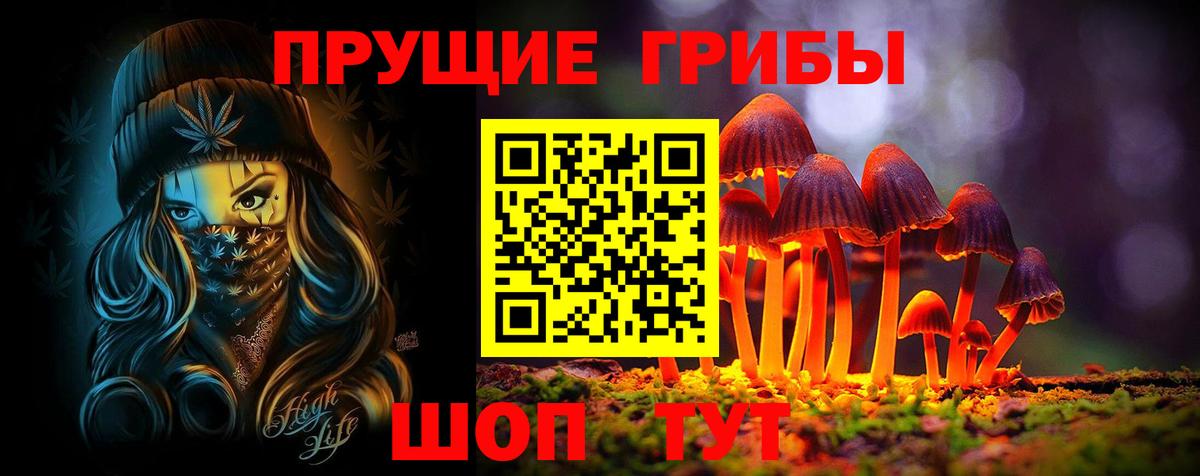 Северодвинск  Галлюциногенные грибы Psilocybine cubensis  Вход с VPN 