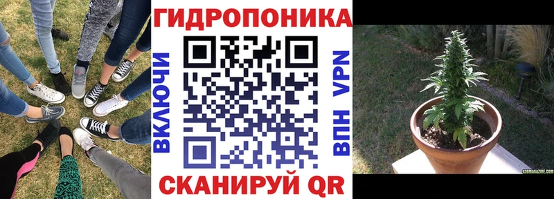 Каннабис семена  Северодвинск 